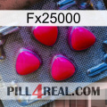 Fx25000 13